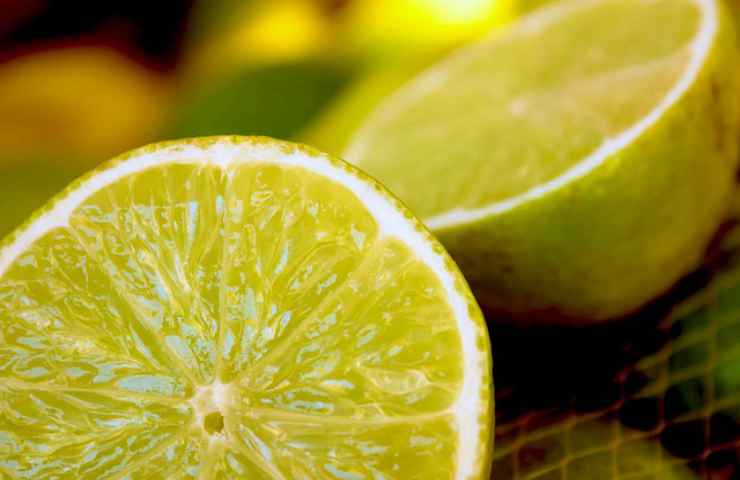 ricavare limoni da semi