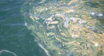 Stati Uniti: la costa atlantica sta sprofondando. Cosa accade