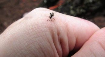 Zanzare ti tempestano già? Il sistema del rubinetto aperto