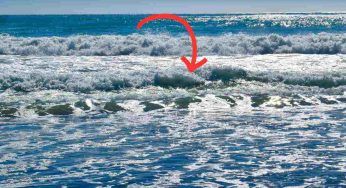 Pericoli in mare: quest’estate fai attenzione se noti questo in acqua