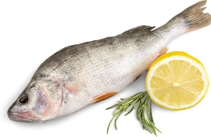 odore di pesce in casa pericoloso