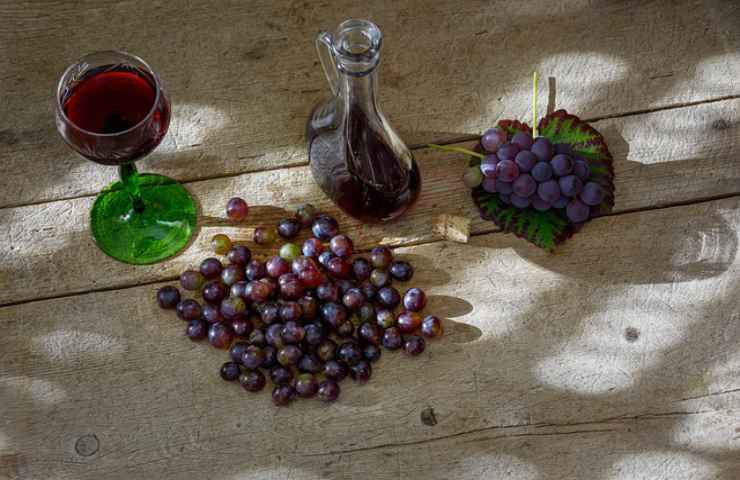 vino rosso uva