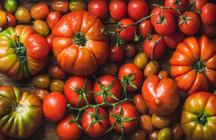 pomodori insalata ortaggi