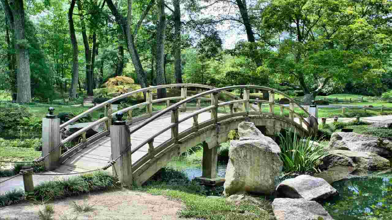 Verona giardino piante 