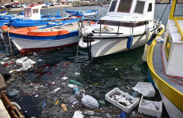 inquinamento plastiche oceani rischio ecosistemi