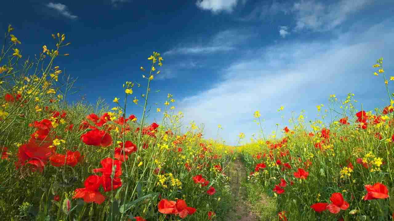 oasi genova agricoltura