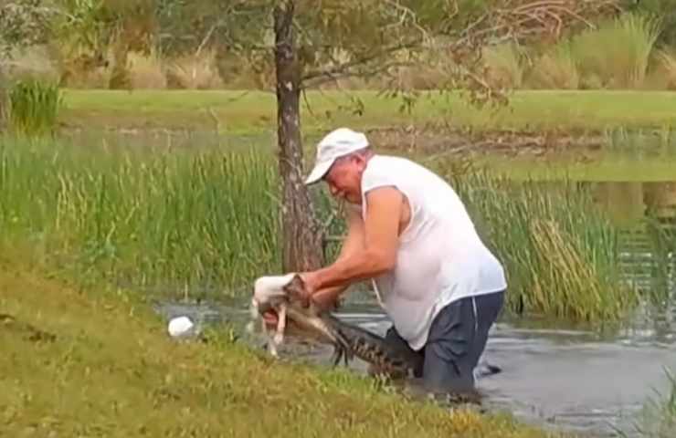 uomo salva cane coccodrillo