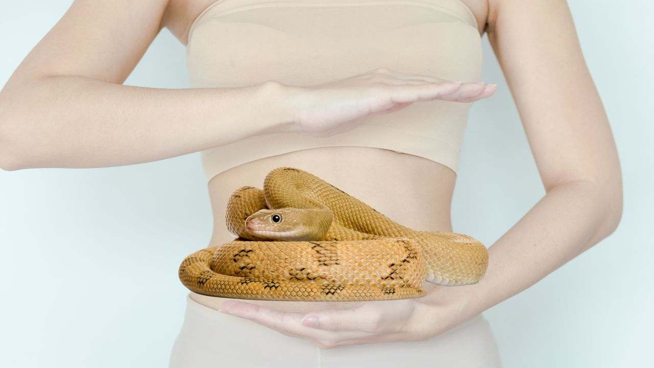 serpente stomaco umano