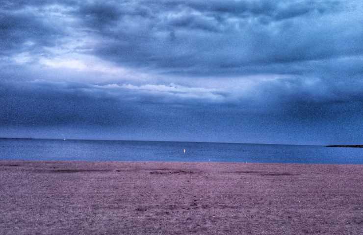 cosa è pericoloso per il cane in spiaggia