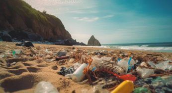 Luce e gas: la tariffa che salvaguarda gli oceani. Come funziona