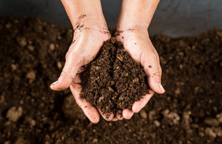 terreno agricolo usucapione