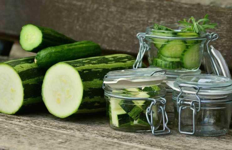 zucchine a giugno semina