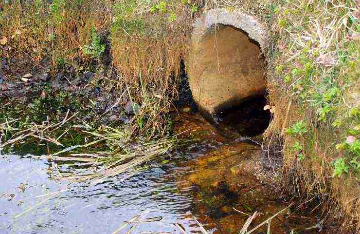 Pfas problema Italia Crisanti