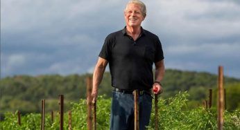 Ex vicepresidente americano e la vita green non così tanto sostenibile