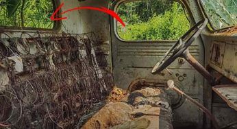 Bimbo trova un’auto abbandonata nella foresta: quello che scopre all’interno lascerebbe chiunque impallidito