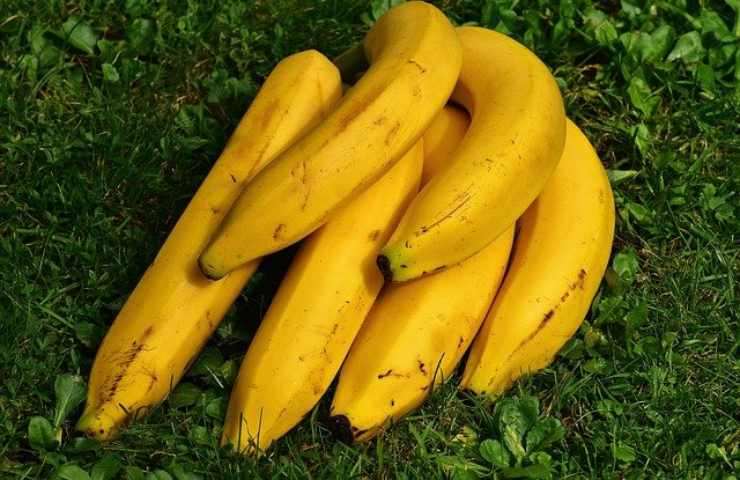 banane clonate 