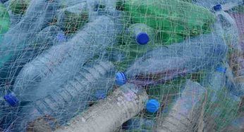 Riciclo della plastica: un settore in crescita che paga