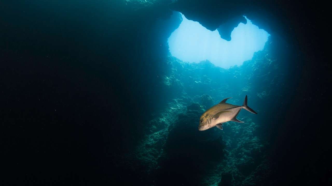 Luoghi più pericolosi mondo fare bagno