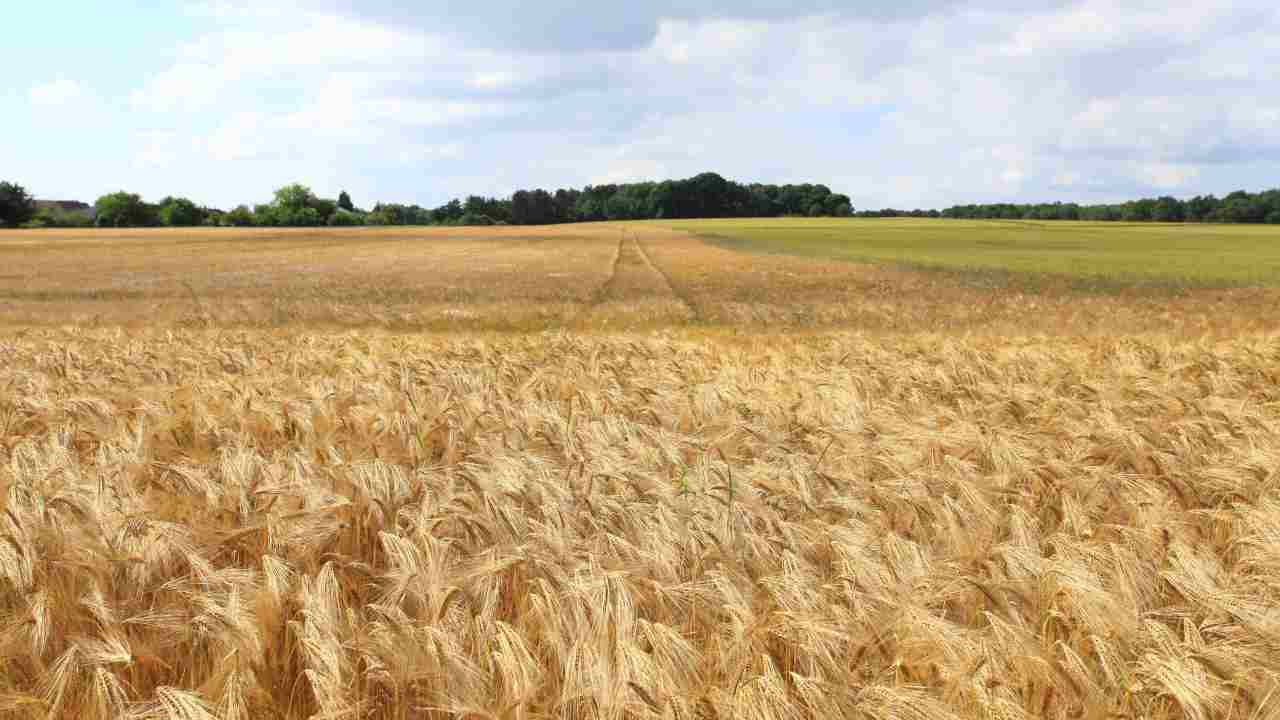 Nature Restoration Law Europa espropria 10% terre agricoltori