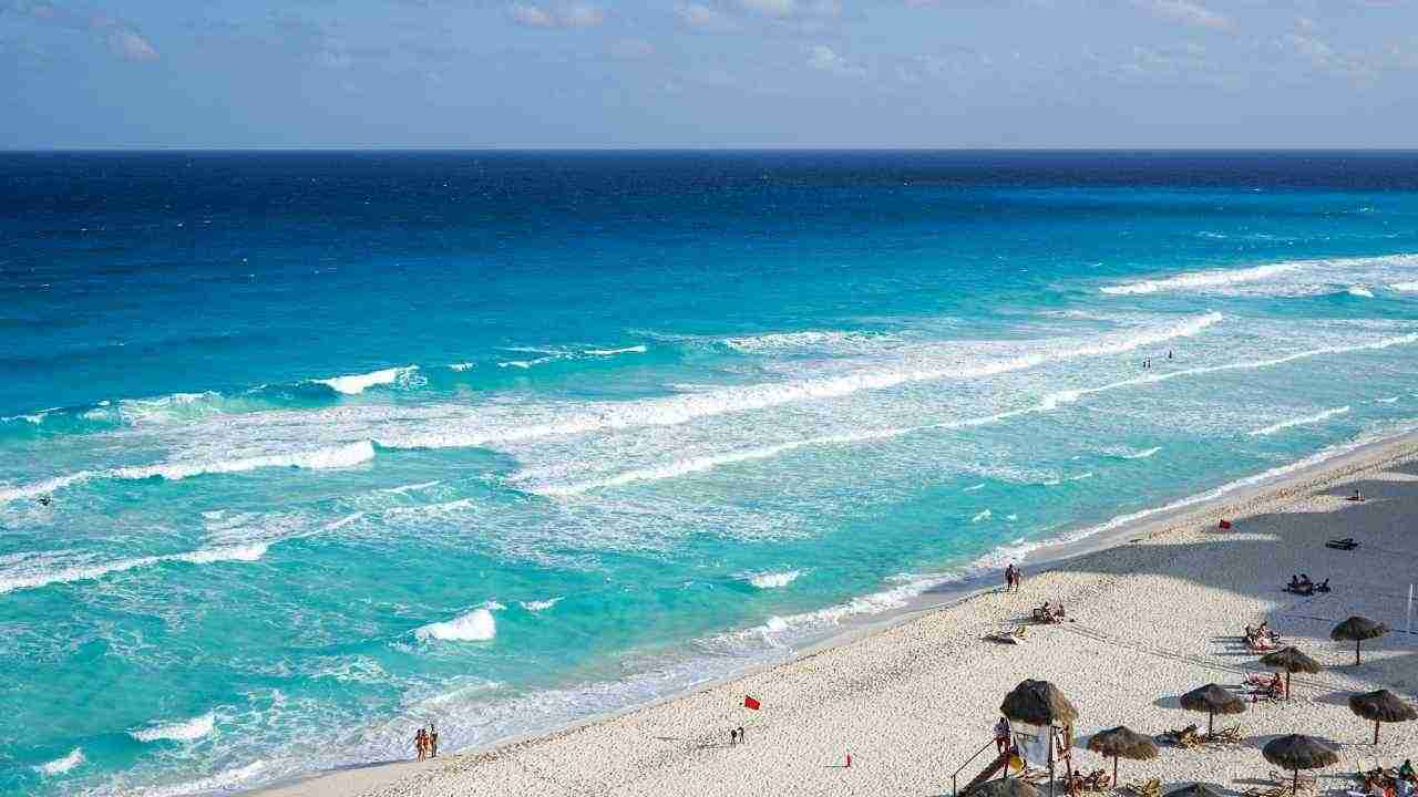 Cancun spiaggia Sargasso alghe distesa