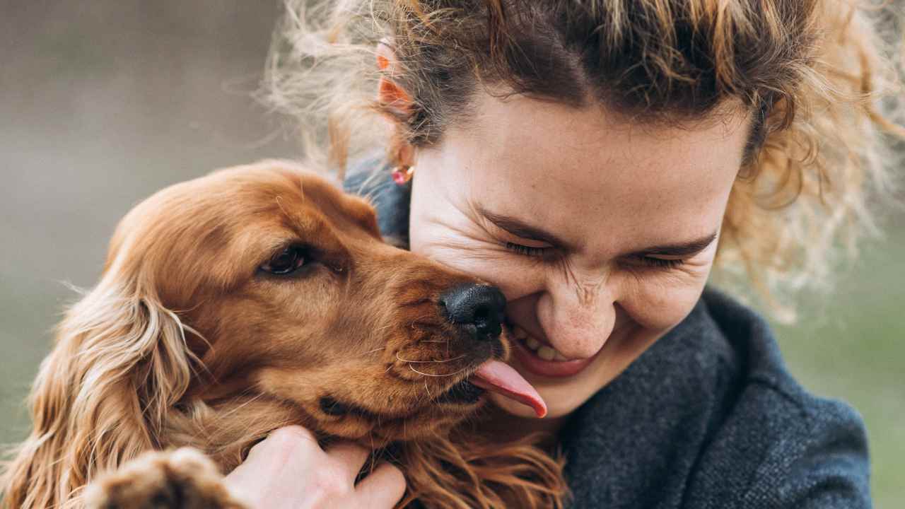 cane come non farlo abbaiare