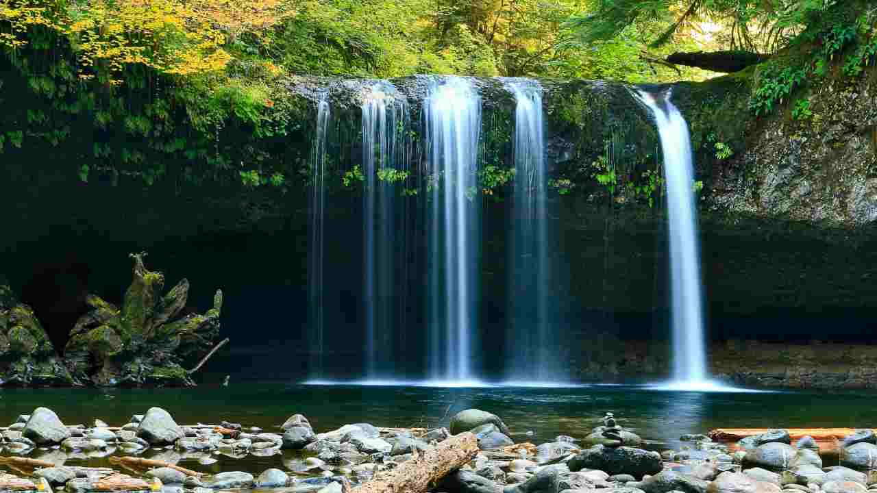 Luoghi Molise cascate nascoste bosco