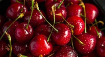 Le ciliegie che costano più di 3mila euro: il perché del loro valore. Il retroscena fa il giro del mondo