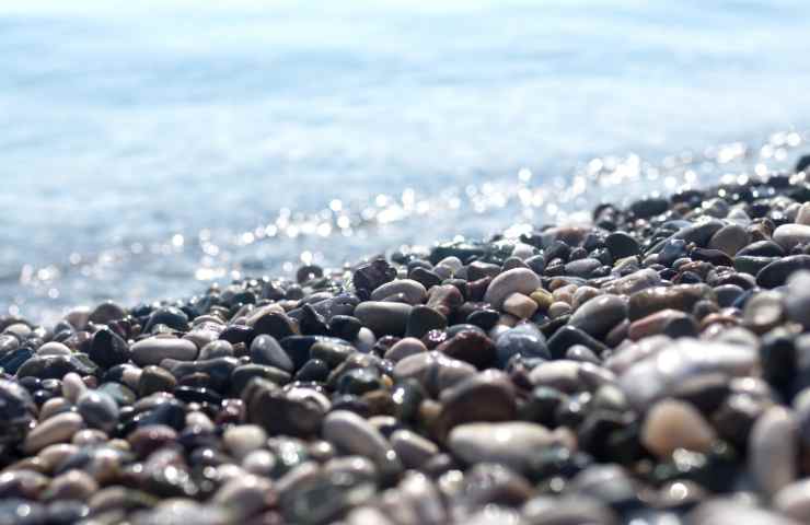 Tartaruga marina spiaggia Legambiente Italia