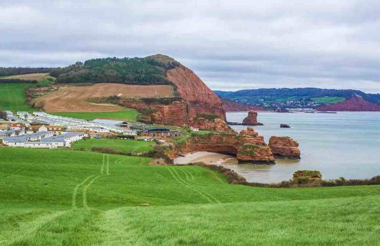 analisi resti fossili trovati a Devon 