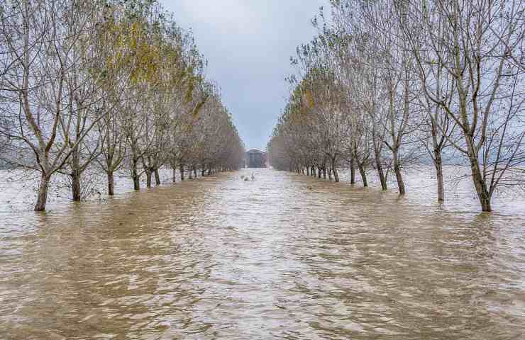 fiume po italia