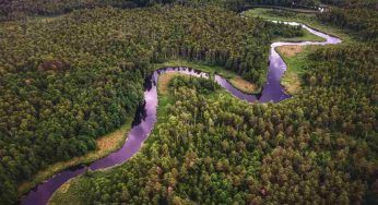 Brasile, popolazioni indigene a rischio: la legge che ha cambiato tutto