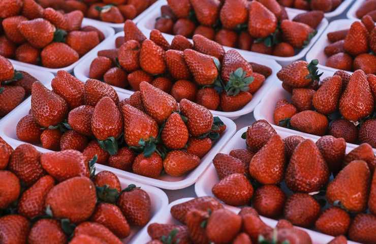 Fragole: quando non comprarle 