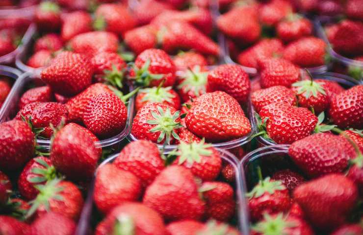 Fragole, sai quando non vanno mai comprate? Scopriamolo