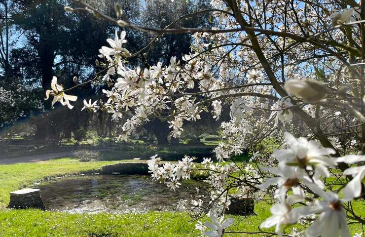 Giardino Ninfa Lazio: i dettagli