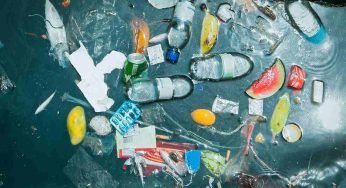 Grecia, il peschereccio che “pesca” rifiuti: “Stiamo nuotando nella plastica”