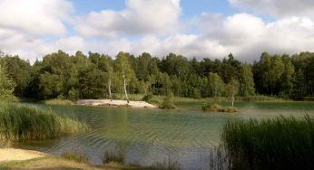 Meisino, ok per riqualificare l’area dando vita al Parco dello sport e dell’educazione ambientale