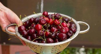 Ciliegie occhio ai pesticidi: come lavarle per essere sicuri di eliminarli