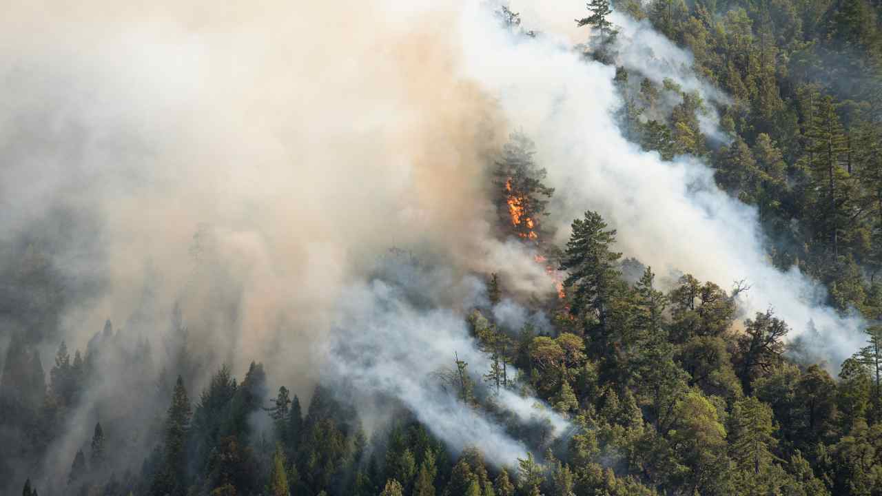 incendio aree boschive da prteggereq