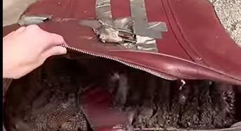 Quello che trova nella valigia è inimmaginabile: in molti sarebbero scappati! – VIDEO