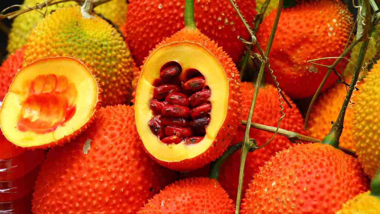 semi frutta dannosi