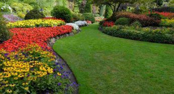 Giardino nel mese di giugno: piccoli accorgimenti in queste giornate