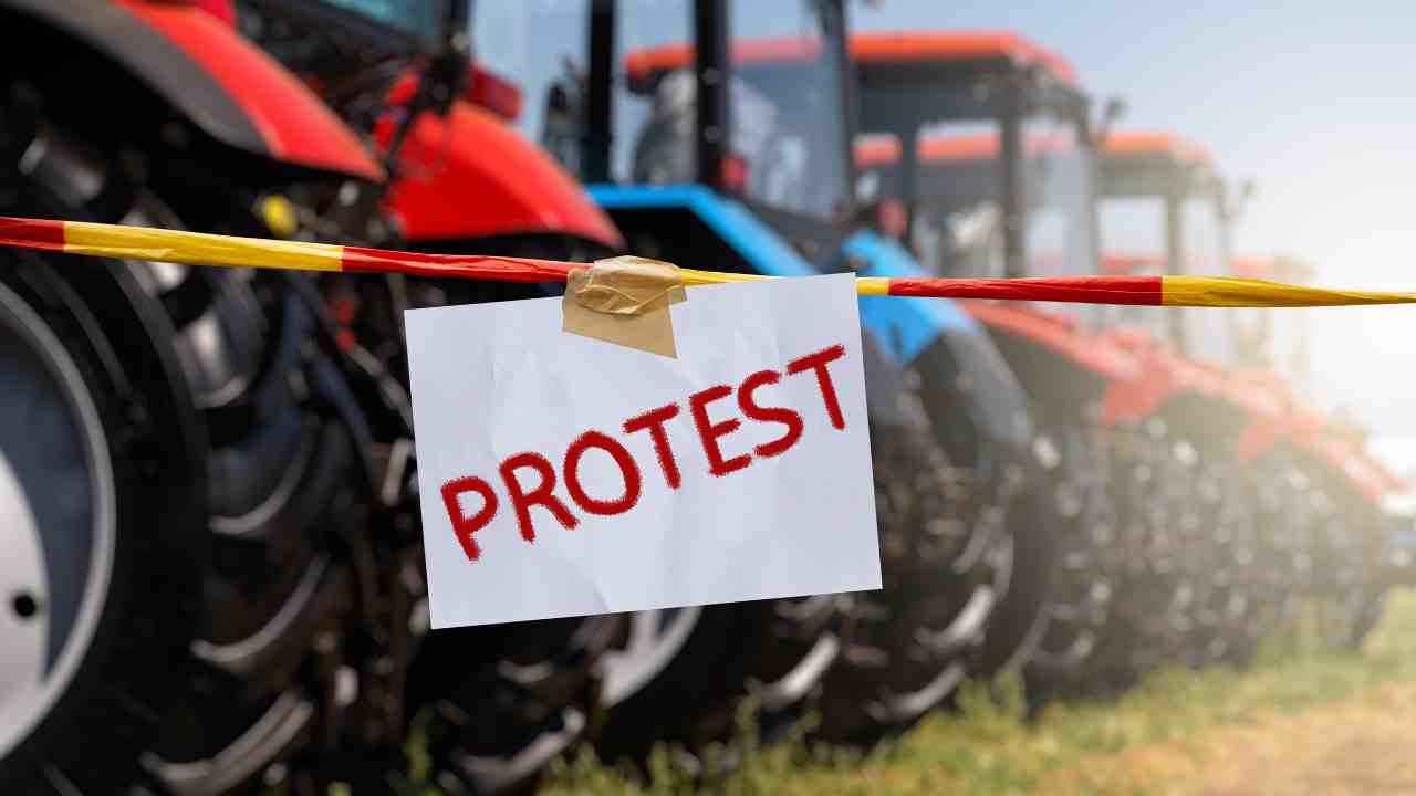 olanda agricoltori in protesta
