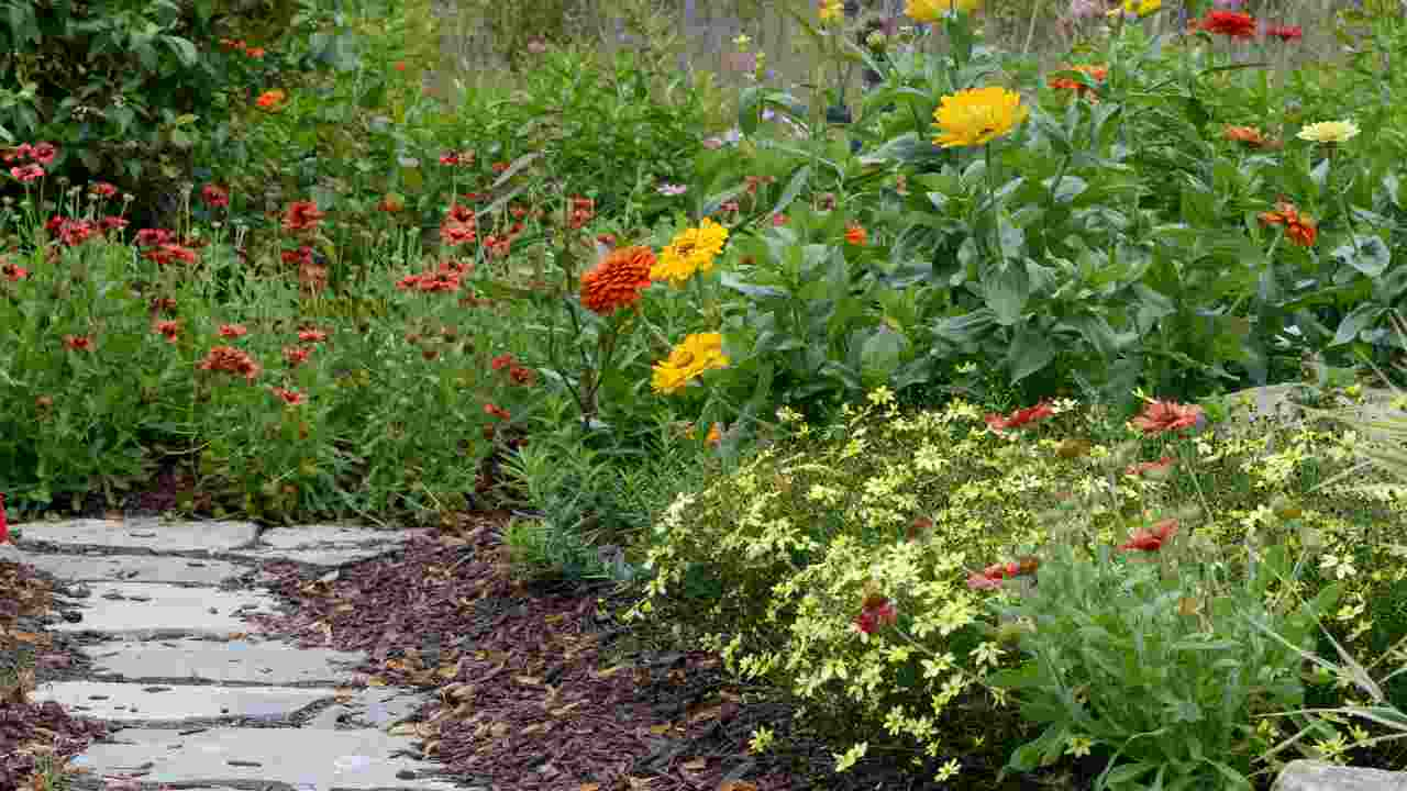 come creare un giardino da un'area inutilizzata