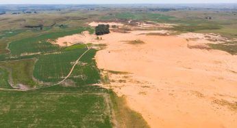 Africa, un muro verde: più diritti alle donne fermando anche l’avanzata del deserto