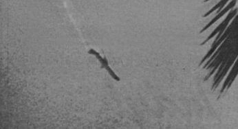 Collisione aerea fatale, un DC9 ed un Piper si scontrano in volo