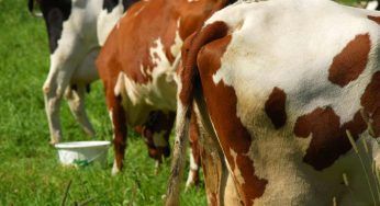 Metano: solo poco più del 10% è regolamentato