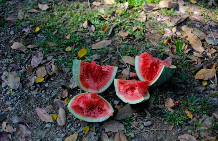 rifiuti in una riserva naturale