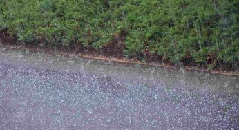 Eventi climatici estremi: in Italia aumentano del 135%