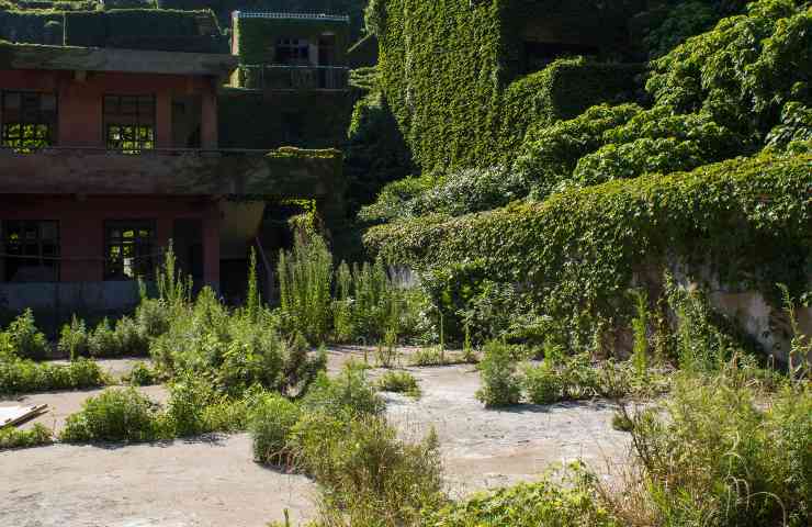 Houtouwan villaggio pescatori abbandonato