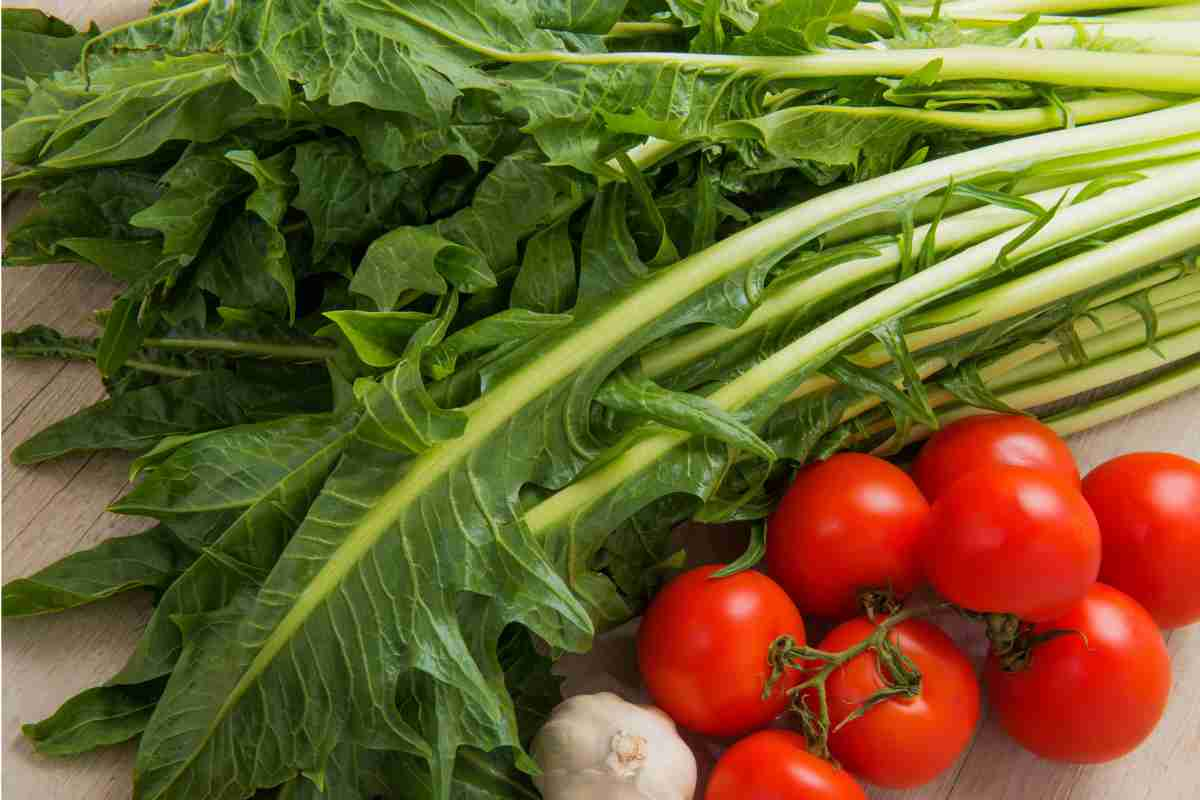 Mangiare cicoria durante la dieta